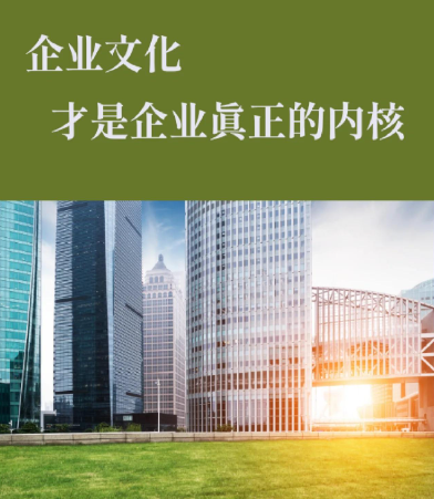 沈阳报环电子商务有限公司平台运营数据复盘：转化率提升的实践路径