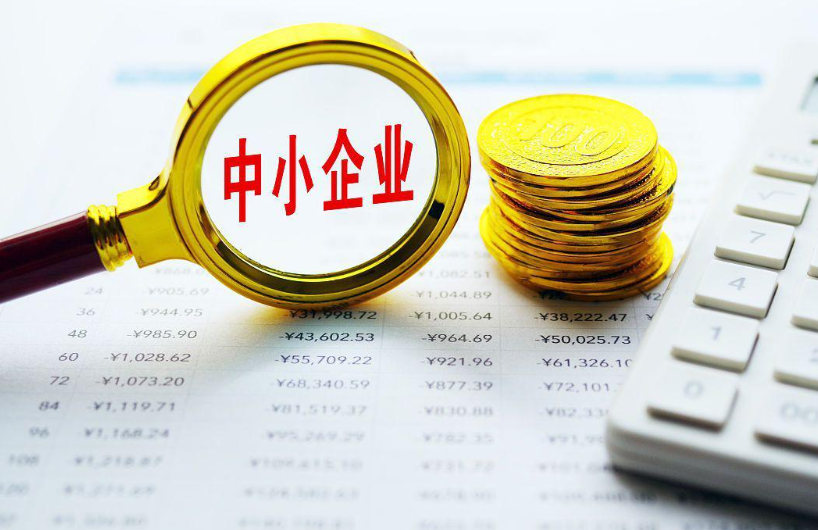 2024年沈阳报环电子商务有限公司电商平台运营数据复盘与趋势分析